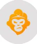 大圣盘 logo